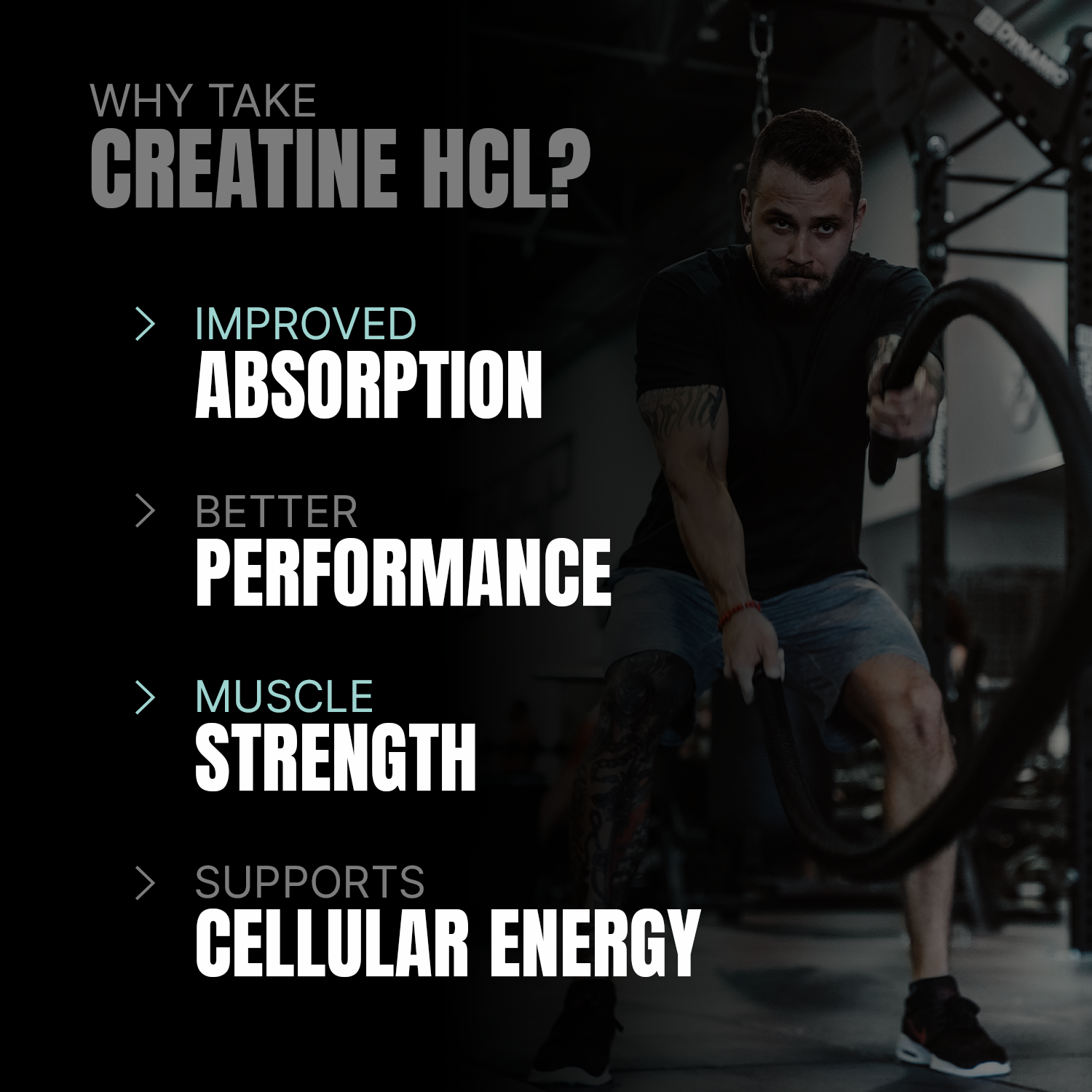 iron asylum official importer of prosupps creatine hcl why take creatine hcl