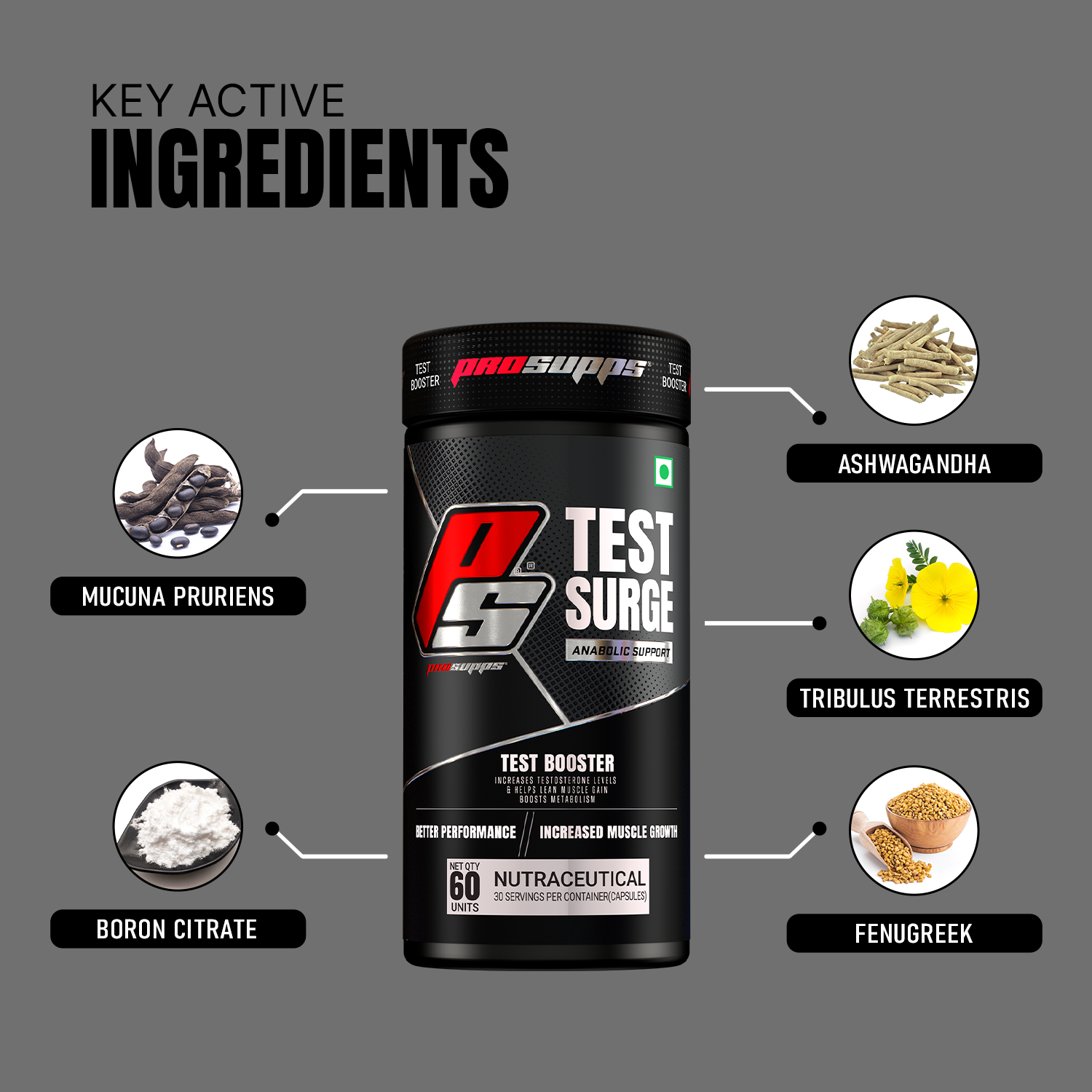 iron asylum official importer of prosupps test surge key active ingredients