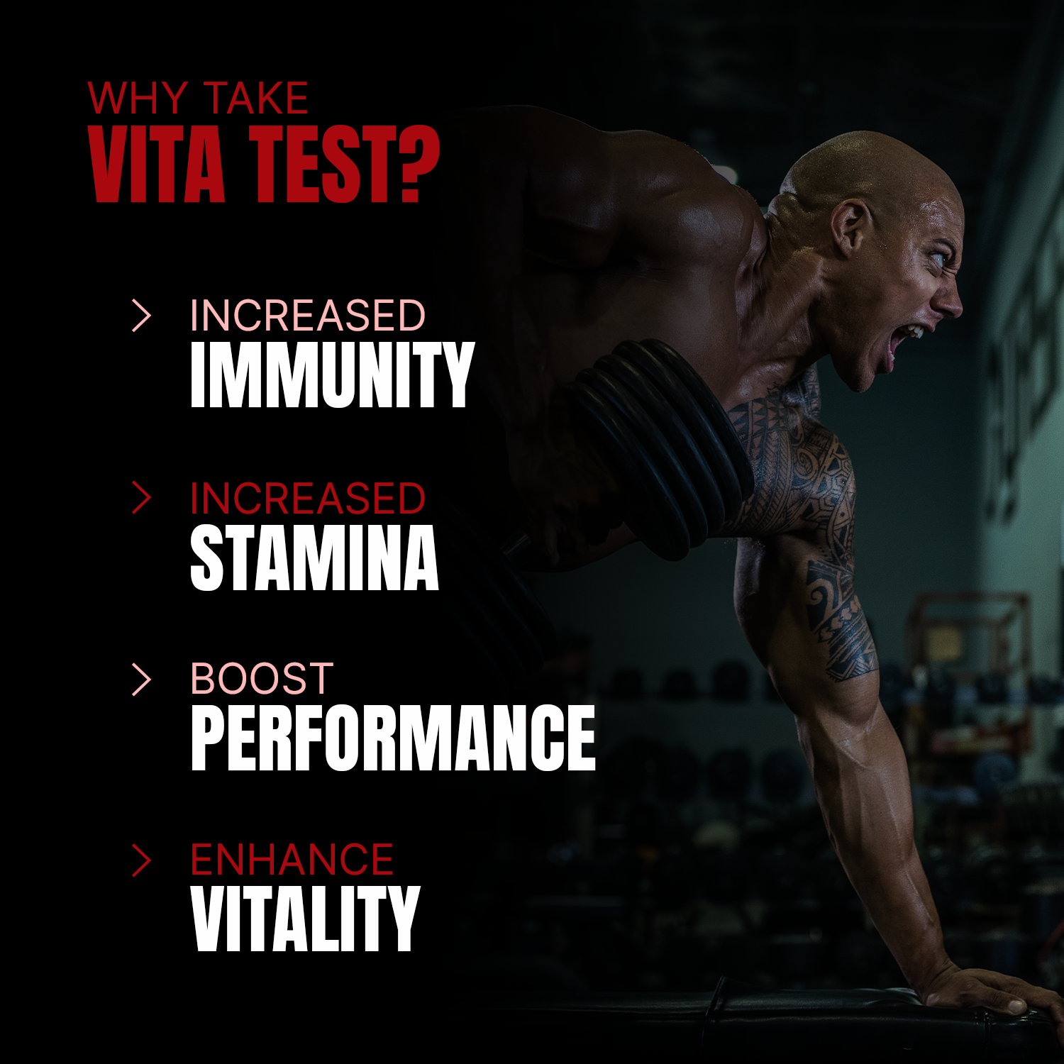 iron asylum official importer of prosupps vita test reason to take vita test