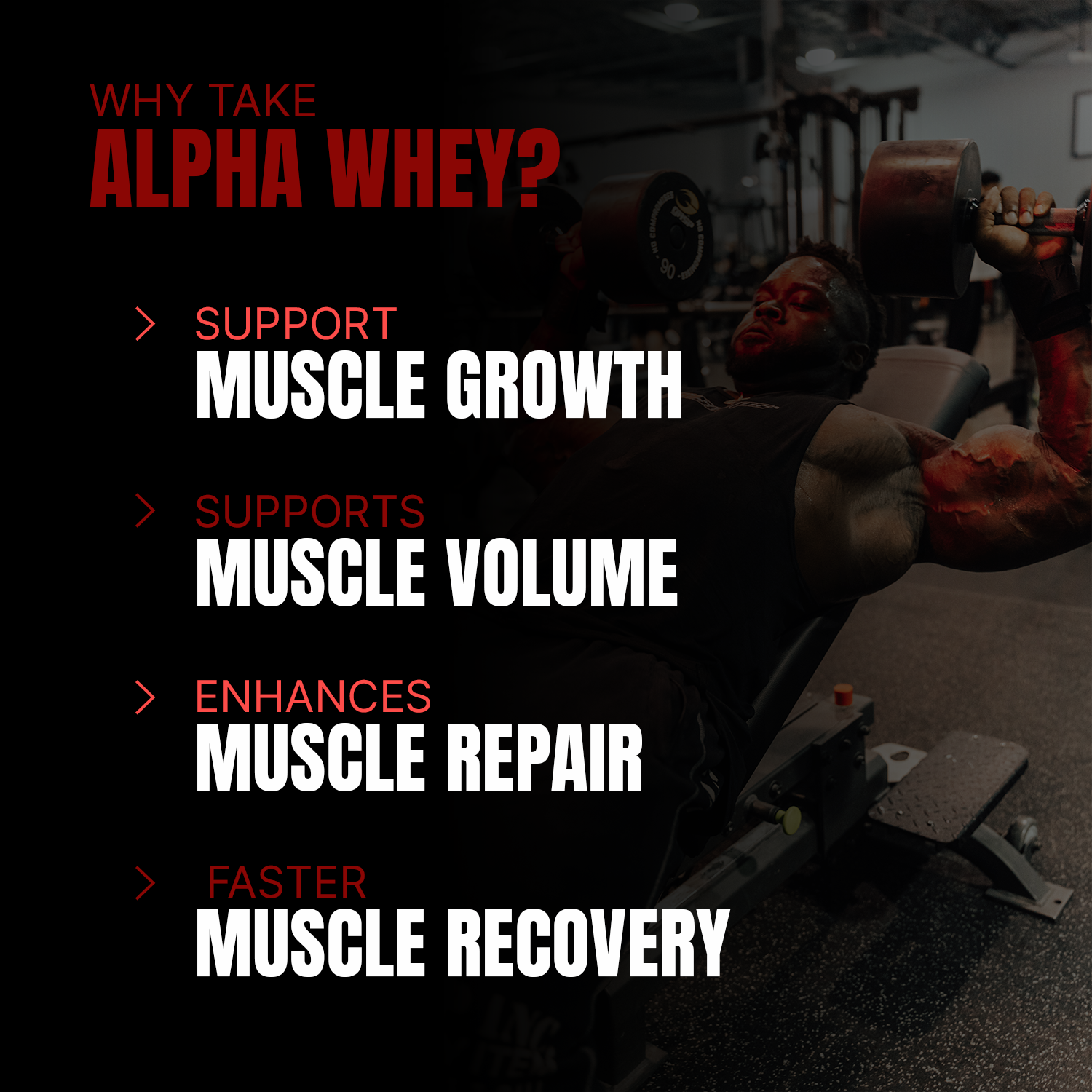 iron asylum official importer of prosupps alpha whey why take alpha whey