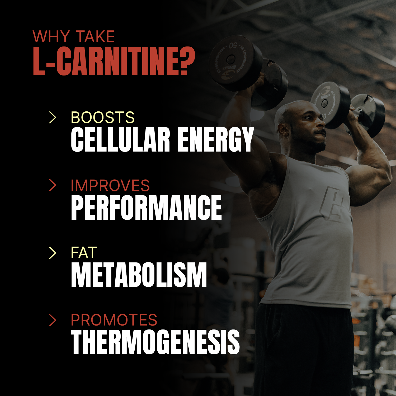 iron asylum official importer of prosupps l-carnitine 3000 why take l-carnitine