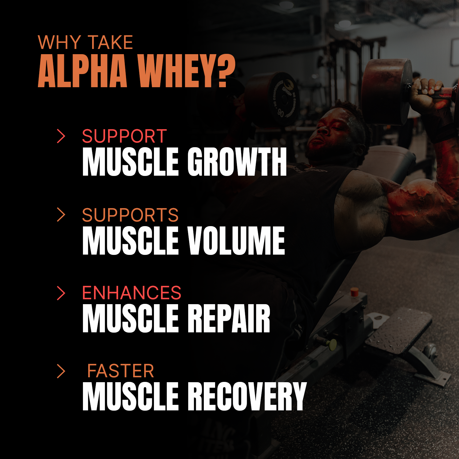 Iron asylum official importer of prosupps alpha whey 1kg why to take